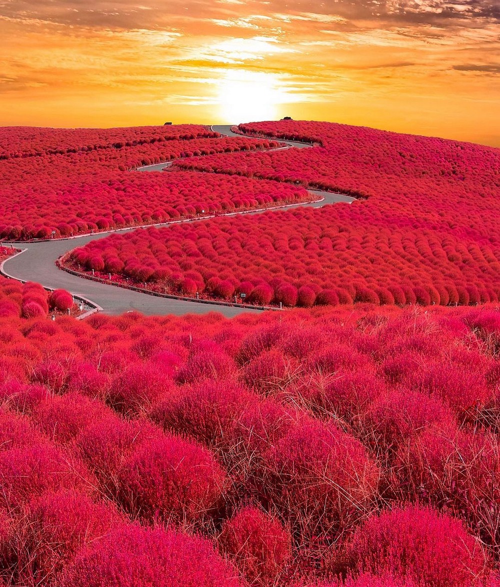 Foto gump do dia: Paisagem espetacular no Japão 22047905 original | Foto gump do dia | foto gump do dia, japão, lugares, montanha, parque