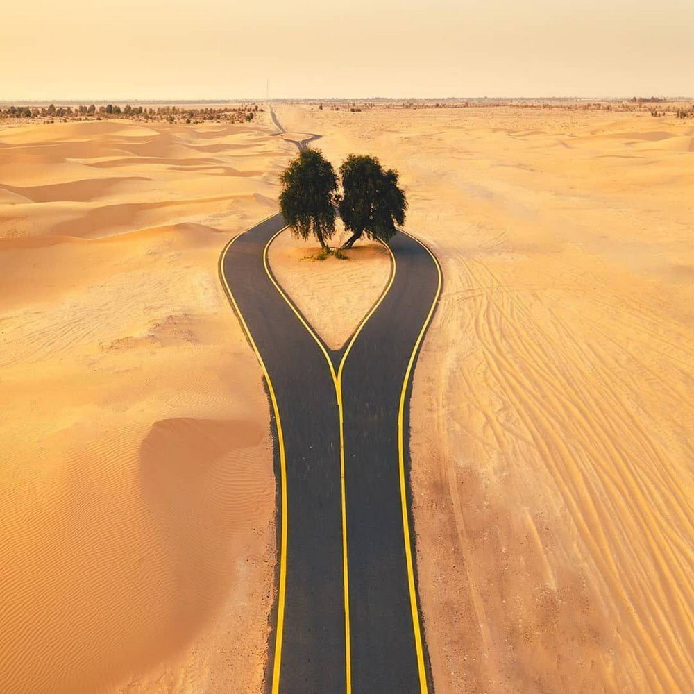 Foto gump do dia: A bifurcação no deserto Estrada bifurcada no deserto contornando duas árvores