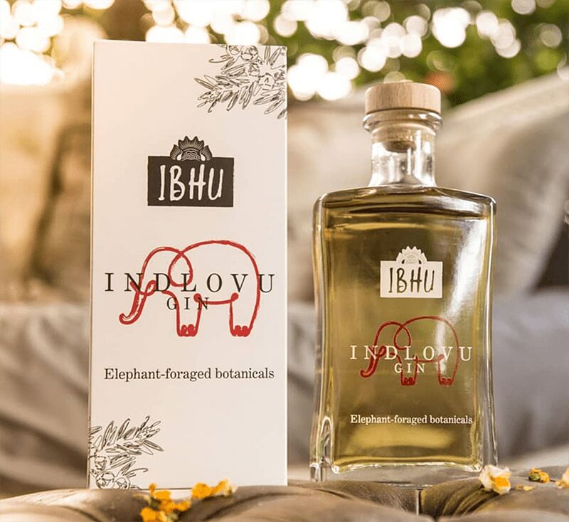 Dilíça: Conheça o Gin fabricado com fezes de elefante 445274 2 800 | Curiosidades | África, bebida, curioso, elefante, gin, nojento