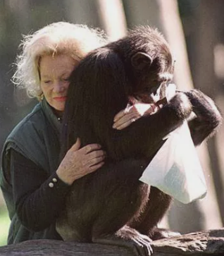 Milionários: Conheça o cachorro mais rico do mundo Animais de estimacao que herdaram uma fortuna 1 | Animais | animais, bichos, curioso, dinheiro, herança, rico, riqueza