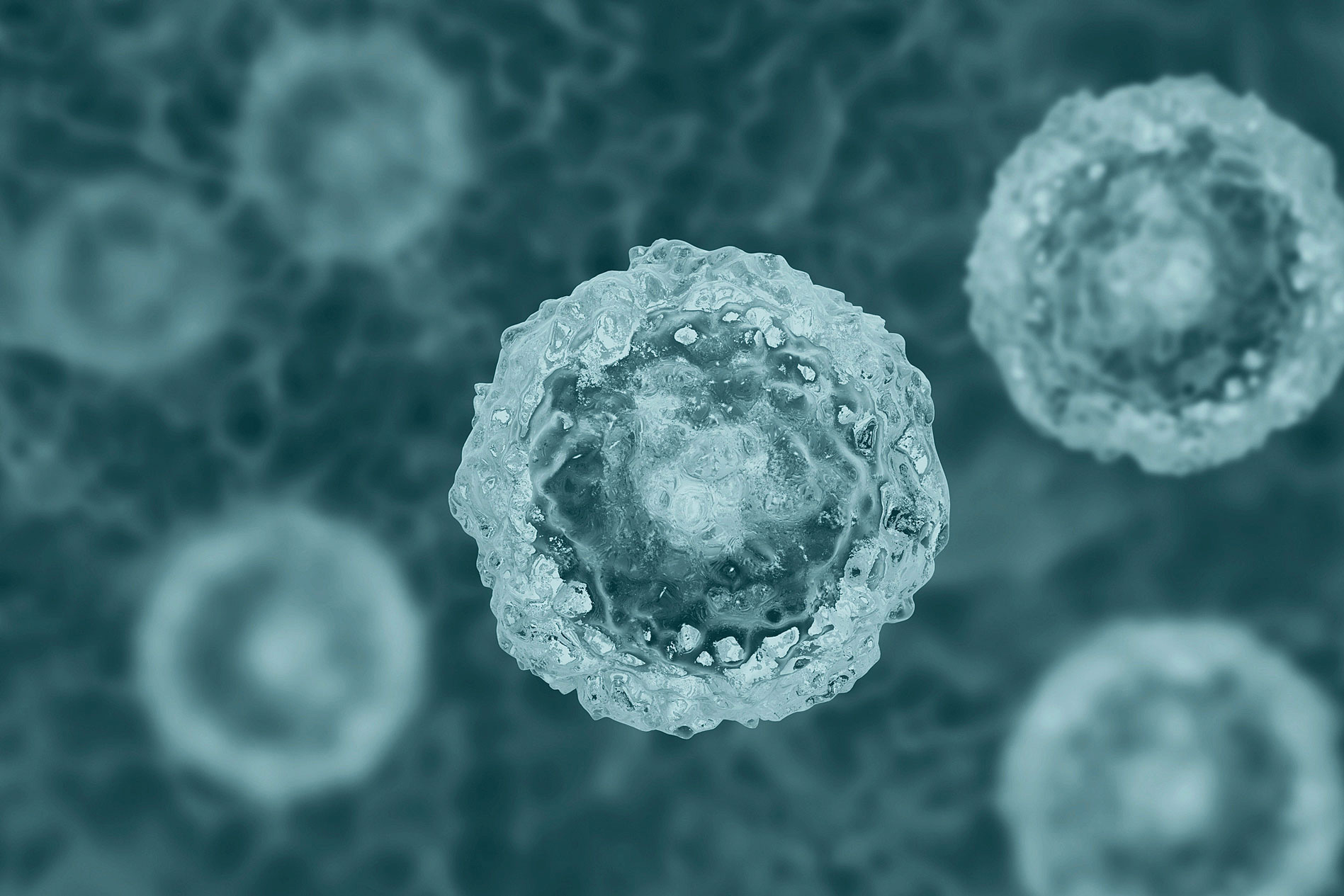Fatos estranhos que ocorrem a cada 60 segundos StemCells Syntehgo micrograph | Curiosidades | curiosidades, minutos, tempo