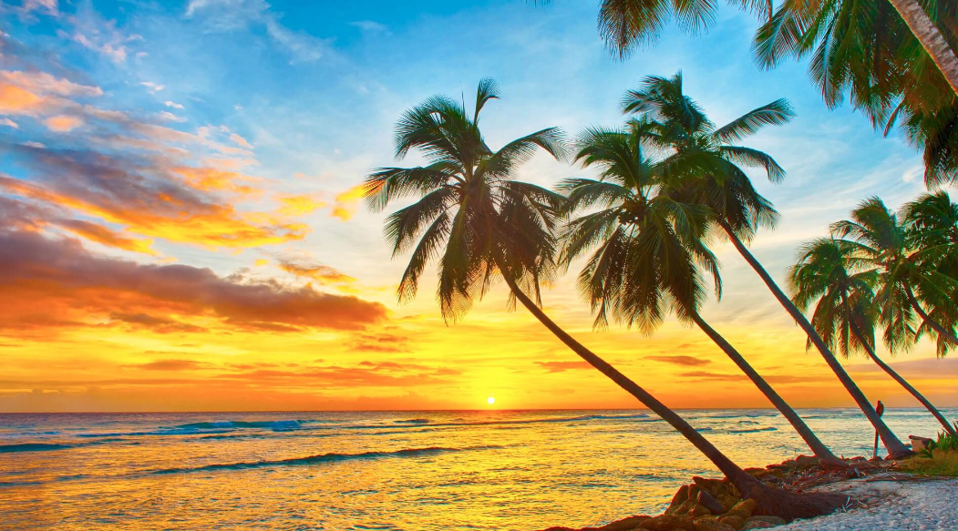 Barbados oferece um ano de visto pra quem quer trabalhar remoto no paraíso. Vem! The Bronzed And Beautiful Land Of Barbados Travel Earth | Dicas | barbados, caribe, dicas, lugares