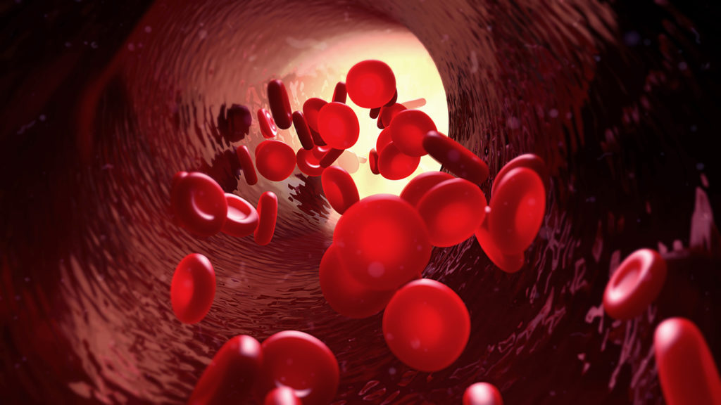 Fatos estranhos que ocorrem a cada 60 segundos blood cells 1024x576 1 | Curiosidades | curiosidades, minutos, tempo