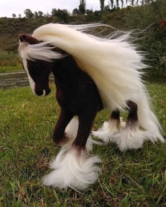 Foto gump do dia: O crânio de um unicórnio original 1 | Foto gump do dia | animais, bichos, cavalo, curioso, foto gumo do dia, incrível, unicornio