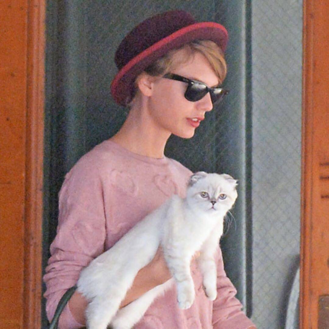 Milionários: Conheça o cachorro mais rico do mundo rs 600x600 140923101710 600.Taylor Swift Olivia Benson JR 92314 | Animais | animais, bichos, curioso, dinheiro, herança, rico, riqueza