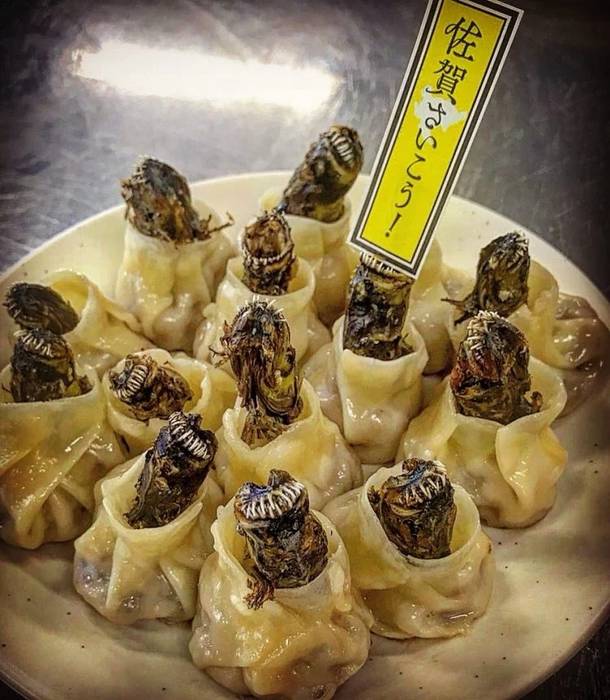 Bolinhos de alienígenas: O prato que vai te dar calafrios s88528455 | Bizarro | bizarro, comida, japão, nojento