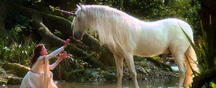 Foto gump do dia: O crânio de um unicórnio unicorns legend the legend of the unicorn 730x300 1 | Foto gump do dia | animais, bichos, cavalo, curioso, foto gumo do dia, incrível, unicornio