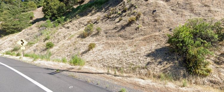Polícia confirma: "Vimos o corpo de um Yeti na beira da estrada" 08550154 | Polêmica | criatura, estranho, monstro, pe grande, yeti