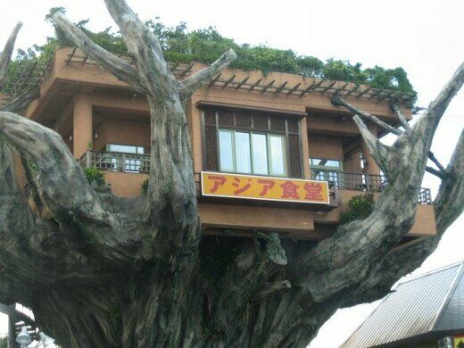 Jantar numa árvore? 675578cc2924edd86294017ea972f3841d0c1620 | Lugares | curioso, japão, lugares, restaurante