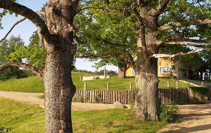 Uma aldeia dos sonhos na Letônia Amatciems 25 | Lugares | curioso, letonia, lugares