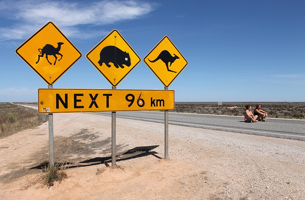 Foto gump do dia: A maior estrada reta da Austrália Nullarbor warning signs | Foto gump do dia | austrália, foto, incrível, lugares