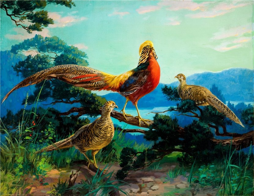 A arte de Henry Hintermeister be5e1ea8ae12 | Arte | Arte, ilustração, ilustrador