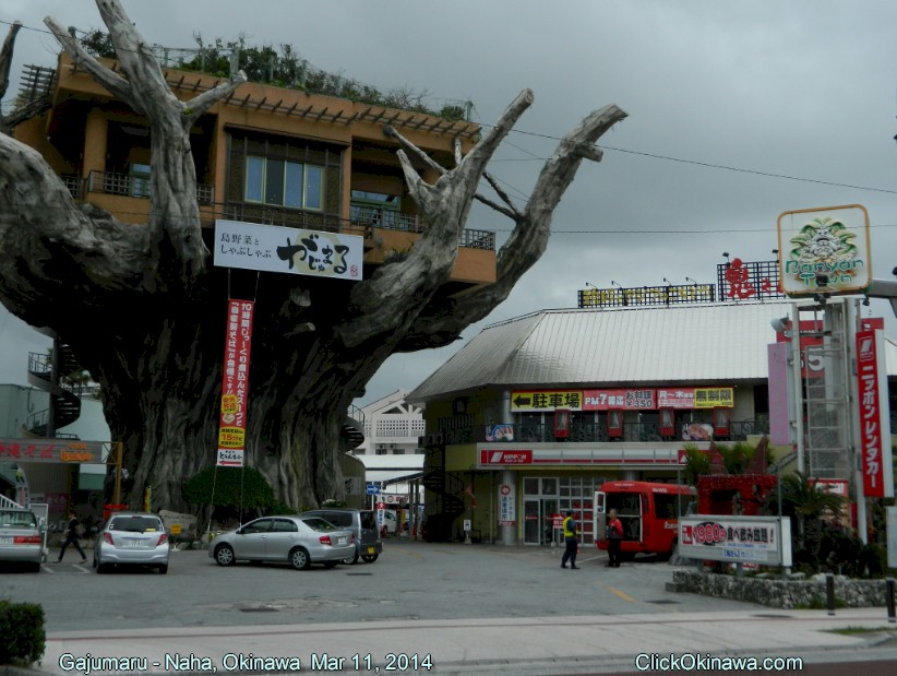 Jantar numa árvore? gajumaru001 | Lugares | curioso, japão, lugares, restaurante