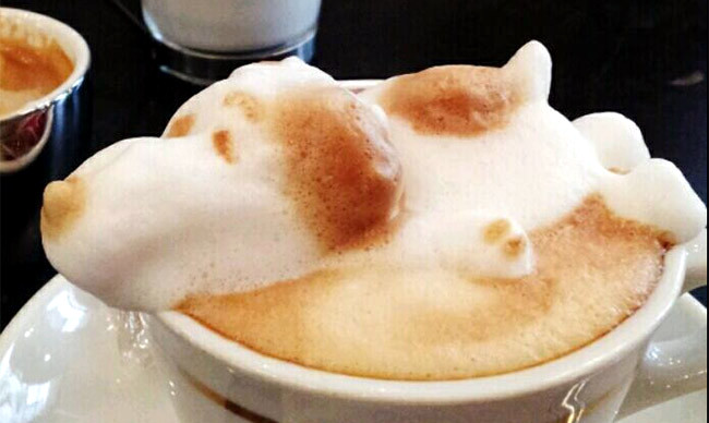 Latte art: Café colorido, com obra de arte, desenhos e até com barata latte art 10 | Curiosidades | Arte, arte no café, café, curioso, espuma, latte