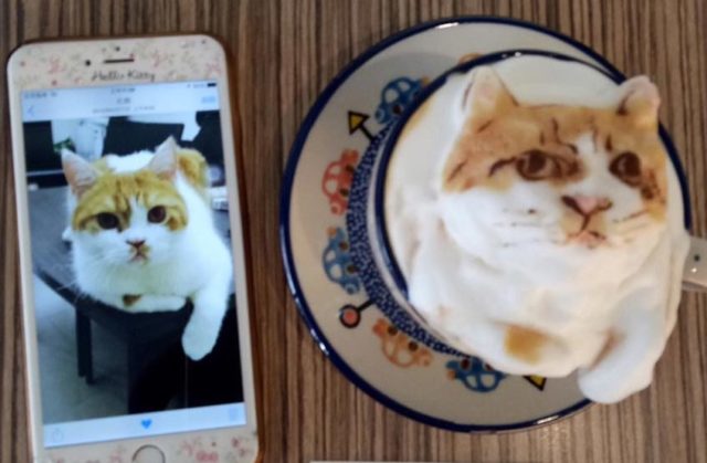 Latte art: Café colorido, com obra de arte, desenhos e até com barata latte art 13 | Curiosidades | Arte, arte no café, café, curioso, espuma, latte