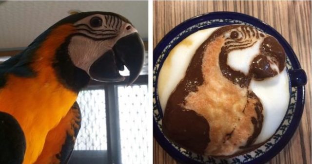 Latte art: Café colorido, com obra de arte, desenhos e até com barata latte art 15 | Curiosidades | Arte, arte no café, café, curioso, espuma, latte