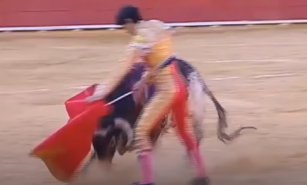 Espetáculo macabro: A morte na arena foi do toureiro 0toros | Bizarro | espanha, grotesco sinistro, tourada, touro, violência