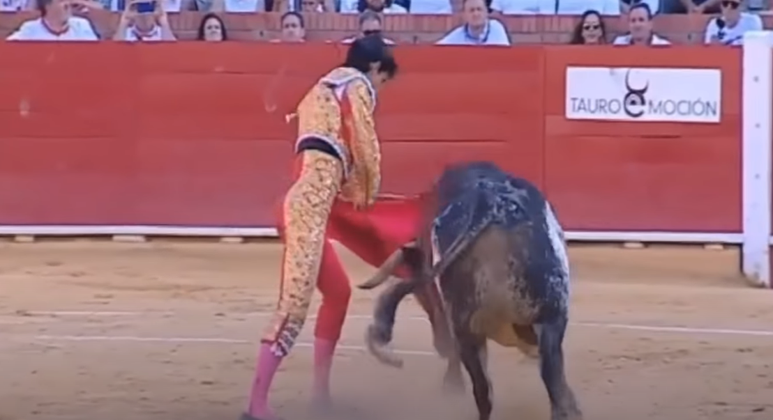 Espetáculo macabro: A morte na arena foi do toureiro 1toros | Bizarro | espanha, grotesco sinistro, tourada, touro, violência