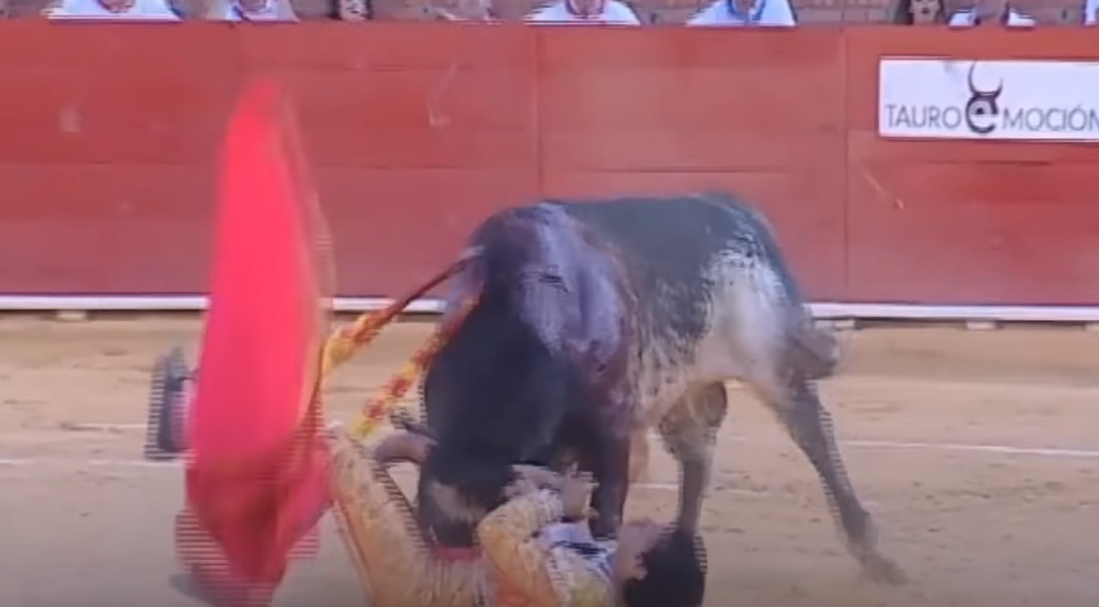 Espetáculo macabro: A morte na arena foi do toureiro 3toros | Bizarro | espanha, grotesco sinistro, tourada, touro, violência