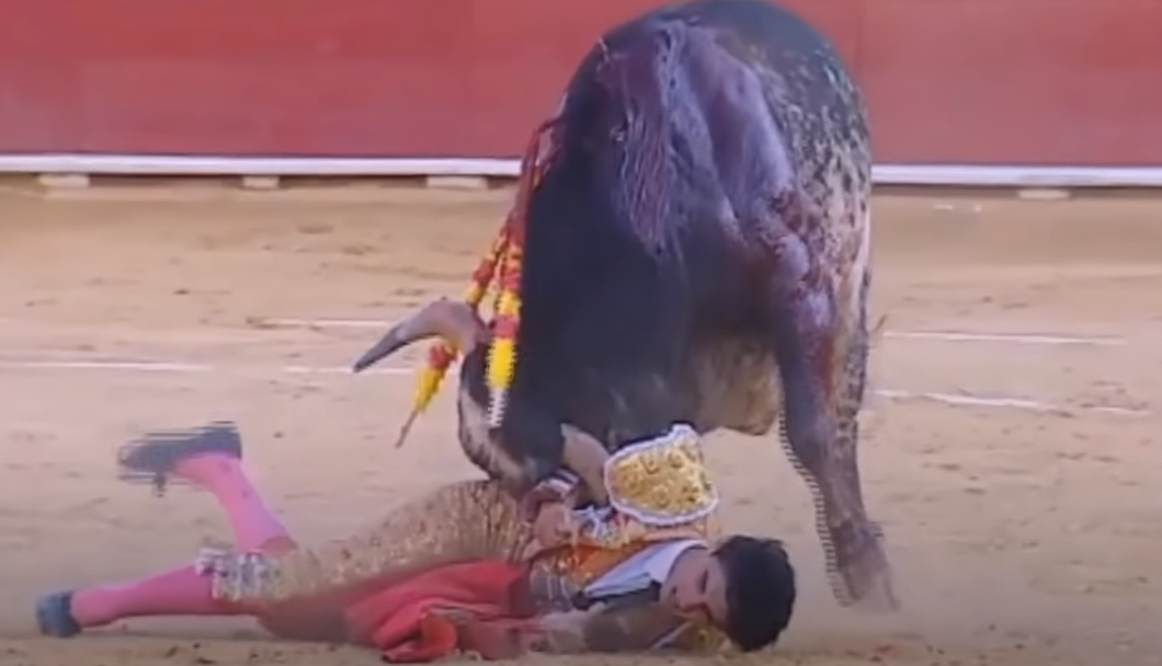 Espetáculo macabro: A morte na arena foi do toureiro 4toros | Bizarro | espanha, grotesco sinistro, tourada, touro, violência