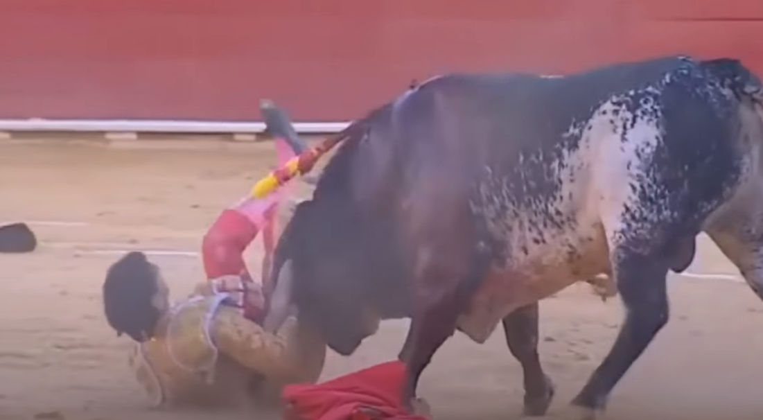 Espetáculo macabro: A morte na arena foi do toureiro 5toros | Bizarro | espanha, grotesco sinistro, tourada, touro, violência