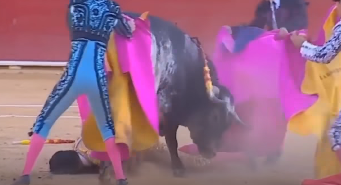 Espetáculo macabro: A morte na arena foi do toureiro 6toros | Bizarro | espanha, grotesco sinistro, tourada, touro, violência
