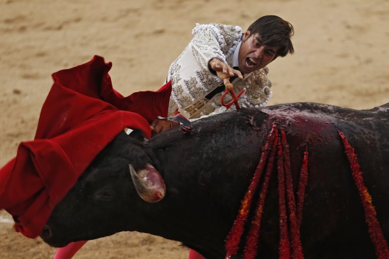 Espetáculo macabro: A morte na arena foi do toureiro 800 | Bizarro | espanha, grotesco sinistro, tourada, touro, violência