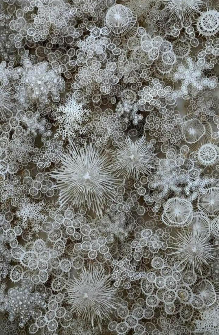 Por que a neve é branca? b3lsofya1va61 | Curiosidades | curioso, estranho, fenômenos, Física, lugares, neve
