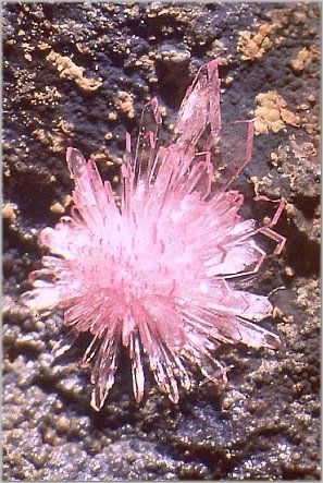 incríveis pedras rosadas incríveis pedras rosadas
