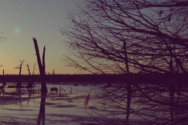 A lenda de Boggy Creek boggy creek marsh small | Curiosidades | monstro, monstros, pegada