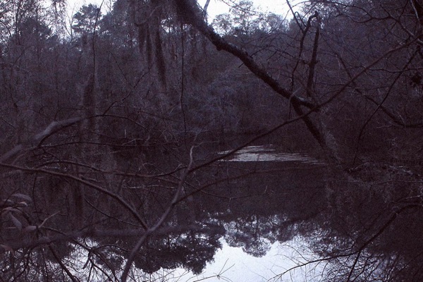 A lenda de Boggy Creek boggy creek small | Curiosidades | monstro, monstros, pegada