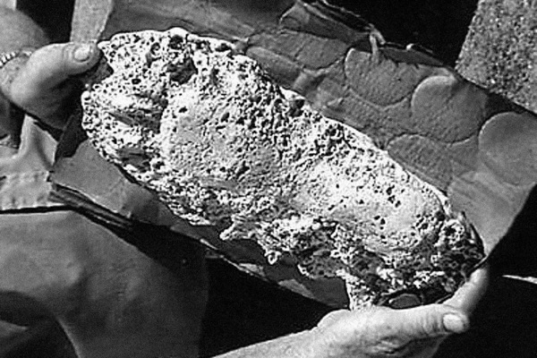 A lenda de Boggy Creek fouke monster footprint willie smith soybean field small | Curiosidades | monstro, monstros, pegada