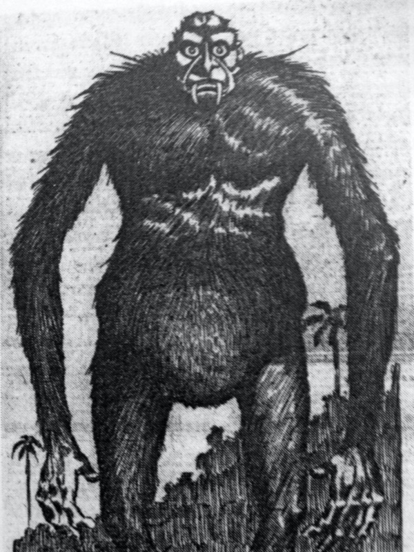 A lenda de Boggy Creek yowie cryptid small | Curiosidades | monstro, monstros, pegada