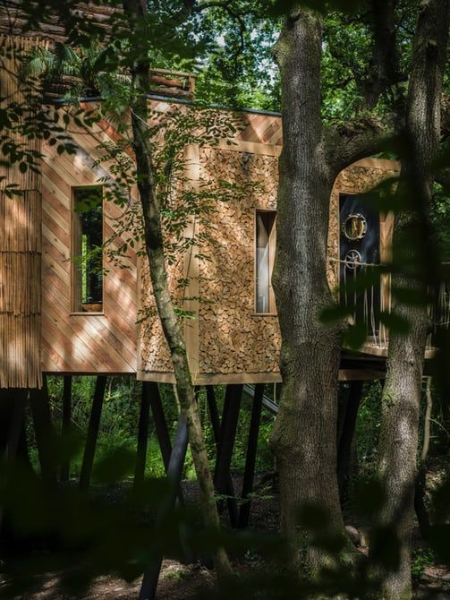 Casa na árvore sem perder a classe 337323 2 800 | Arquitetura | arquitetura, casa, lugares
