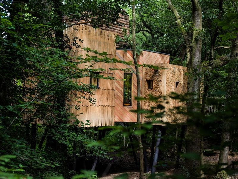 Casa na árvore sem perder a classe 337323 3 800 | Arquitetura | arquitetura, casa, lugares