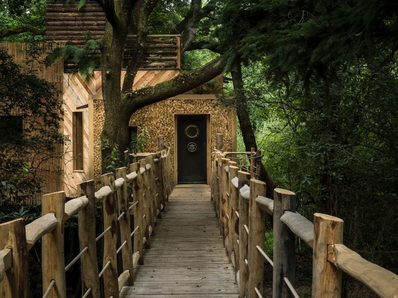 Casa na árvore sem perder a classe luxury treehouses | Arquitetura | arquitetura, casa, lugares