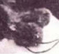 A fotografia mais antiga de um yeti morto pata | Bizarro | animais, bichos, criptozoologia, estranho curioso, pe grande, yeti