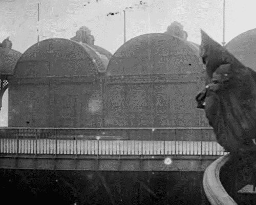 Mortes incomuns e bizarras do século XX e XXI franz reichelt gif. imgur | Bizarro | bizarro, estranho, incrpivel, morte, mortes, sinistro