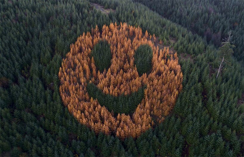 Smiley Face, no Oregon- Um lugar curioso onde a floresta literalmente sorri pra você smiley face oregon | Lugares | árvores, curioso, incrível, lugares