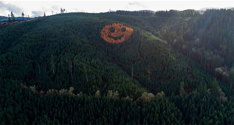 Smiley Face, no Oregon- Um lugar curioso onde a floresta literalmente sorri pra você smiley face trees oregon 3 | Lugares | árvores, curioso, incrível, lugares