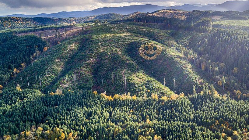 Smiley Face, no Oregon- Um lugar curioso onde a floresta literalmente sorri pra você smiley face trees oregon | Lugares | árvores, curioso, incrível, lugares