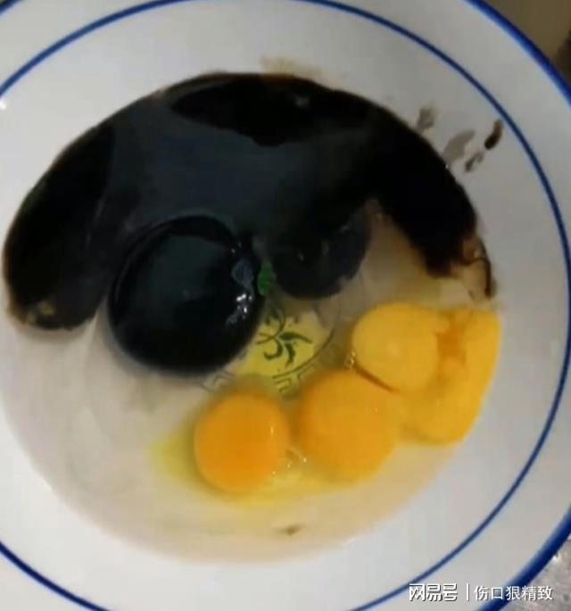 Foto Gump do dia: O ovo preto black egg yolks4 | Foto gump do dia | animal, bizarro, misterioso, ovo, preto