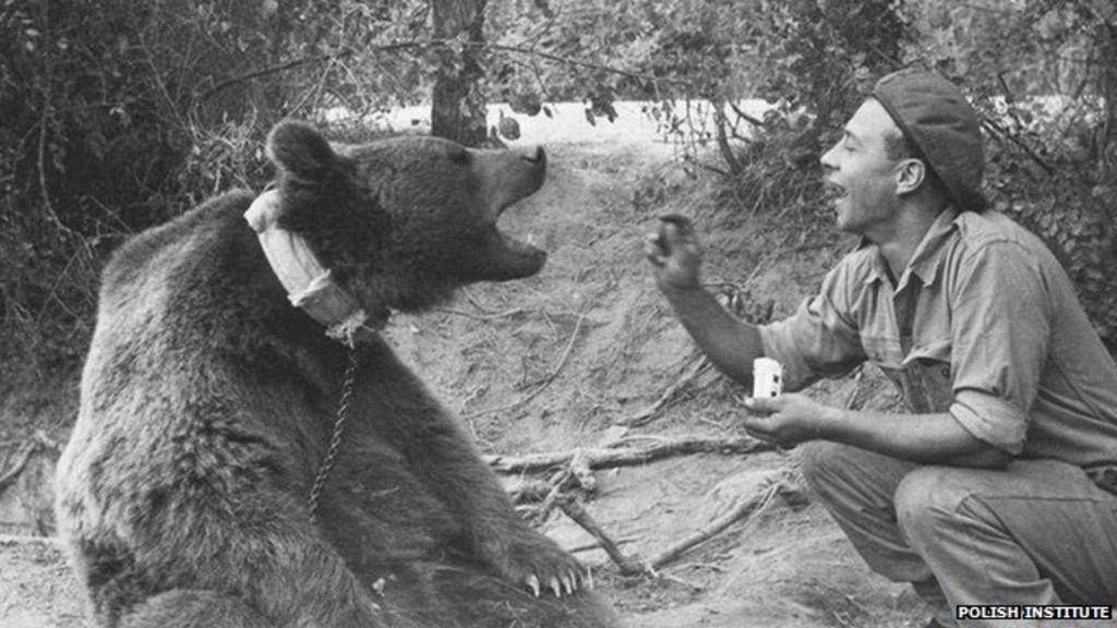 A incrível historia de Wojtek o urso que foi veterano de guerra 1 IiGrEXhkBWtwZB6uTgf6fg | Animais | animais, curiosidades, curioso, guerra, segunda guerra mundial, urso
