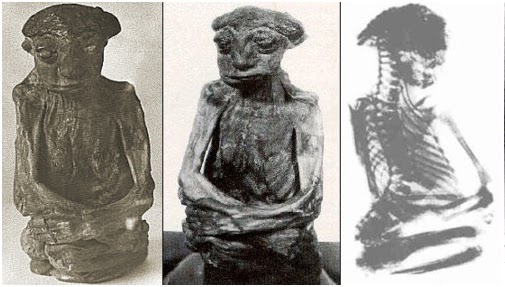 A misteriosa múmia da Serra de San Pedro 70775826 | Bizarro | bizarro, criatura, estranho, mistério, mumia