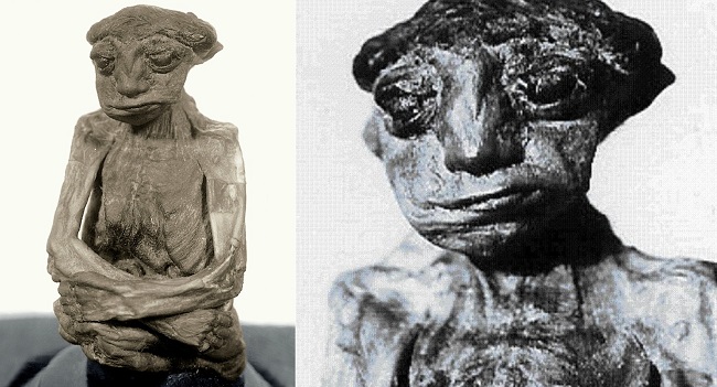 A misteriosa múmia da Serra de San Pedro 98556770 | Bizarro | bizarro, criatura, estranho, mistério, mumia