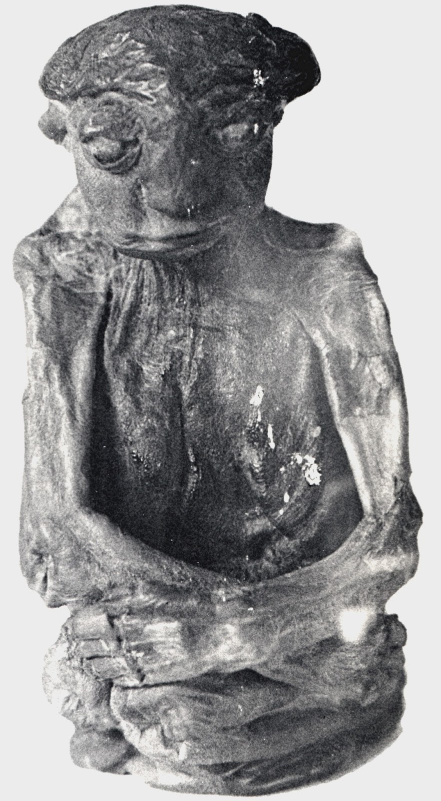 A misteriosa múmia da Serra de San Pedro Pedro Wyoming mini mummy 1 public domain | Bizarro | bizarro, criatura, estranho, mistério, mumia
