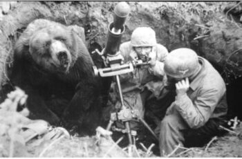 A incrível historia de Wojtek o urso que foi veterano de guerra main qimg ee09fce491530844a376b15fb1a60825 lq | Animais | animais, curiosidades, curioso, guerra, segunda guerra mundial, urso