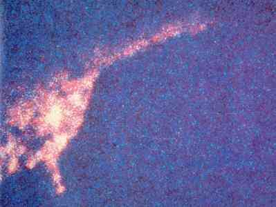 Sonar detecta estranha massa gigante se movendo no fundo de Loch Ness... De novo! ness1 | Curiosidades | criptozoologia, curioso, escocia, lago, Loch Ness, monstro marinho, ness, nessie, plesiossauro