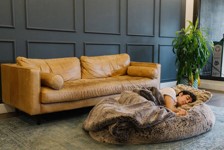 Tendência: Cama de cachorro para humanos dog bed for humans2 | Curiosidades | cachorro, cama, curioso, design