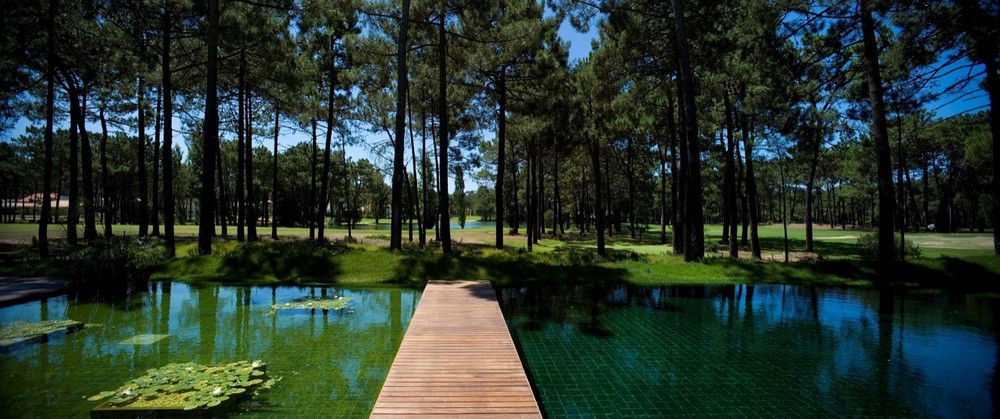 Magnífica casa à beira do lago em Portugal 74236013 original | Arquitetura | arquitetura, casa, mansão, Portugal
